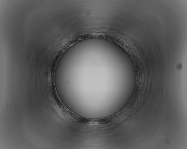 X0000091000704200708021225