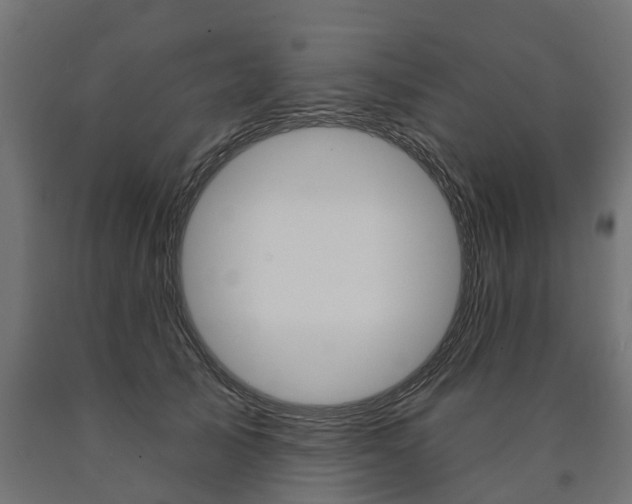 X0000091000705200708021225