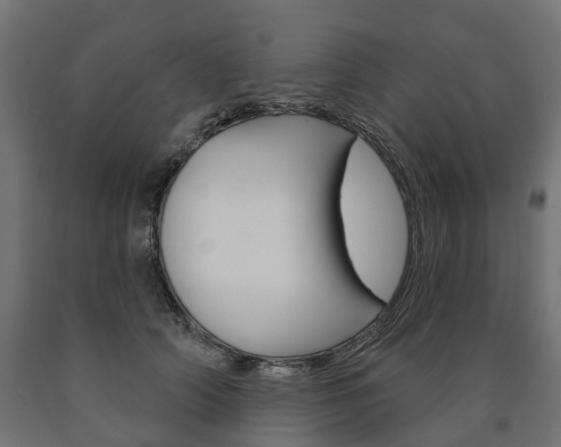 X0000091000706200708021225