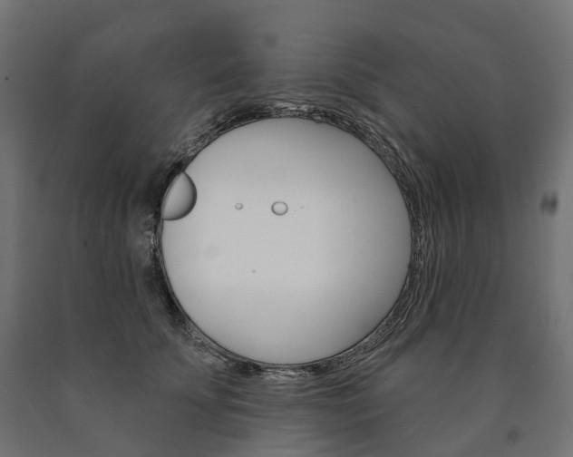 X0000091000707200708021225
