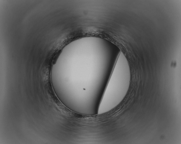 X0000091000708200708021225