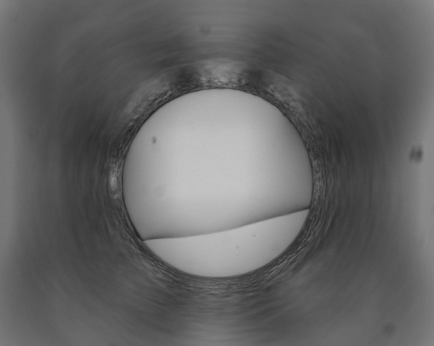 X0000091000709200708021225