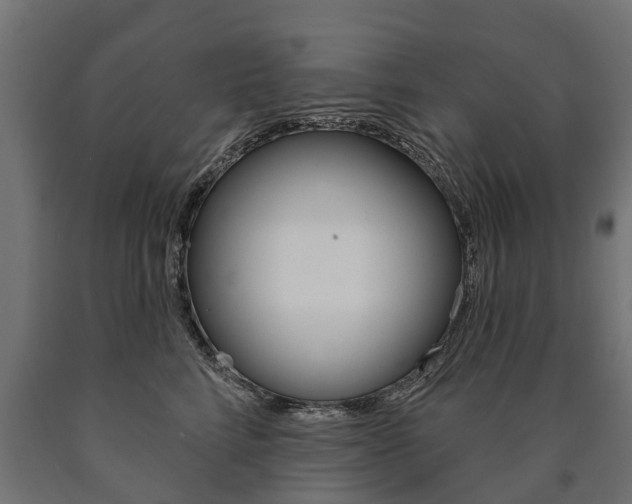 X0000091000712200708021225