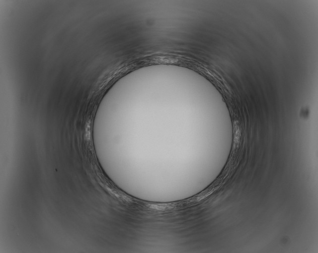 X0000091000713200708021225