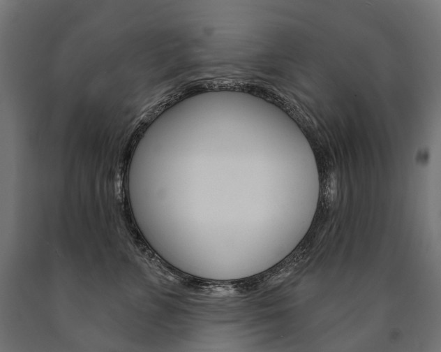 X0000091000715200708021225