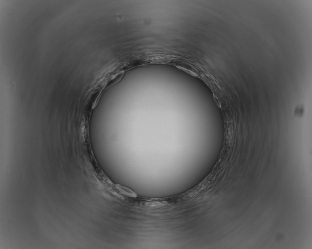 X0000091000716200708021225