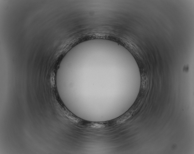 X0000091000718200708021225