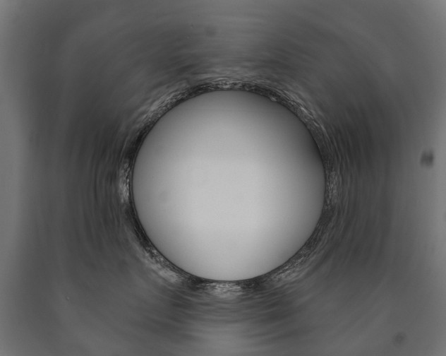 X0000091000719200708021225