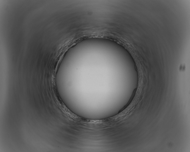 X0000091000720200708021225