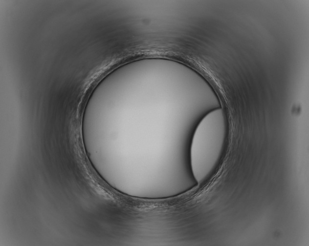 X0000091000721200708021224
