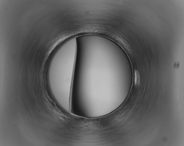 X0000091000723200708021224
