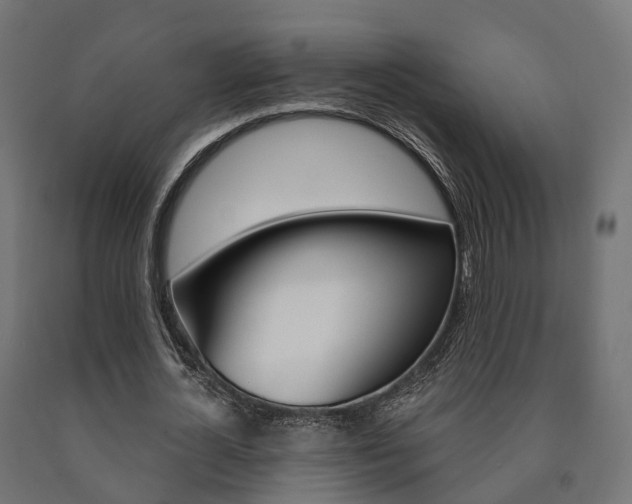 X0000091000724200708021224