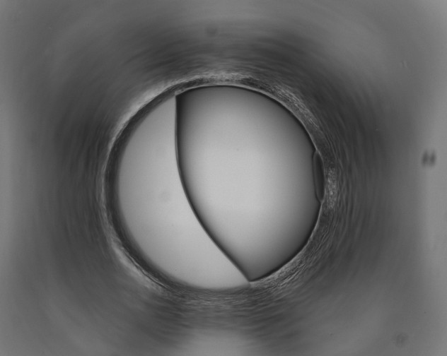 X0000091000726200708021224