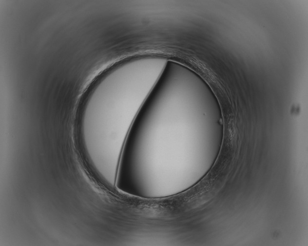 X0000091000728200708021224