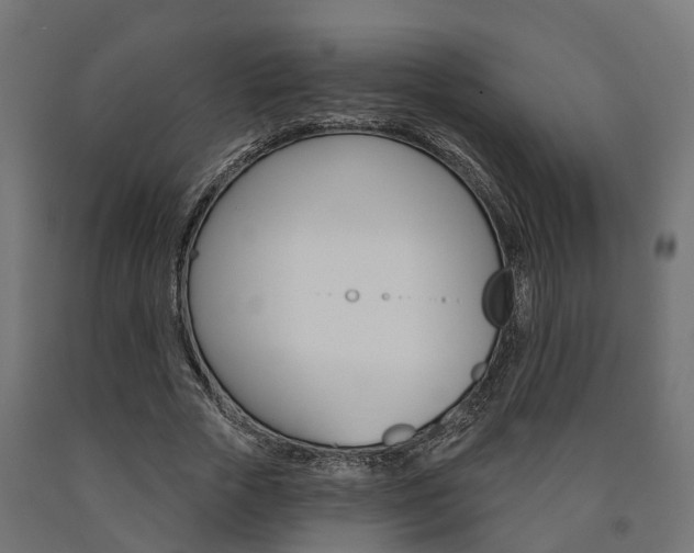 X0000091000729200708021224