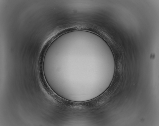 X0000091000730200708021224