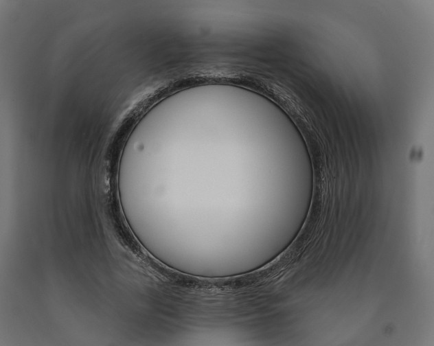 X0000091000731200708021224