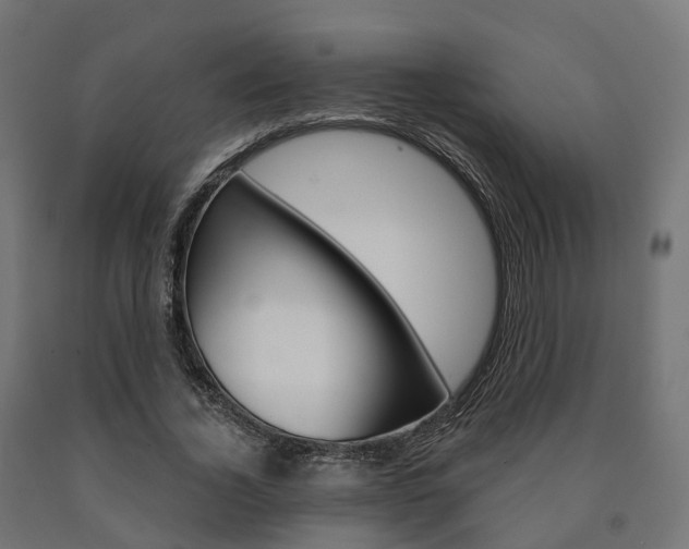 X0000091000732200708021224