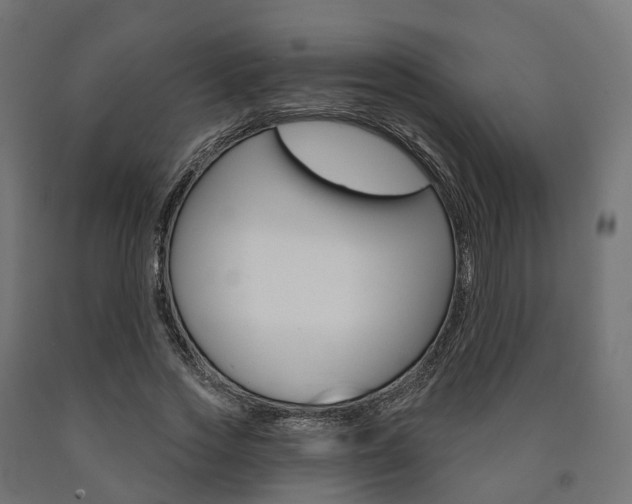 X0000091000733200708021224
