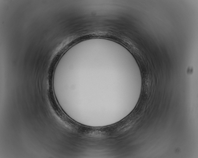 X0000091000734200708021224