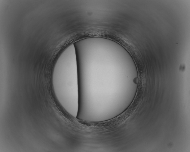 X0000091000737200708021224