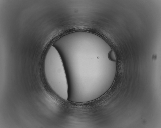 X0000091000738200708021224