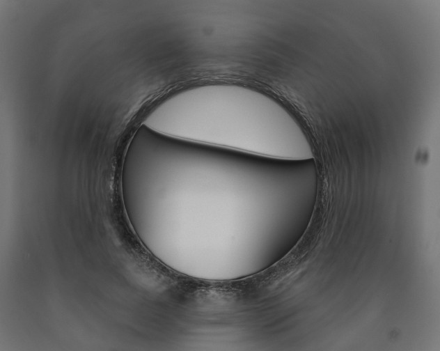 X0000091000739200708021224