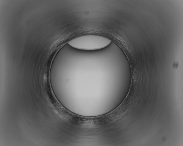 X0000091000740200708021224