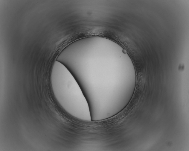 X0000091000741200708021224