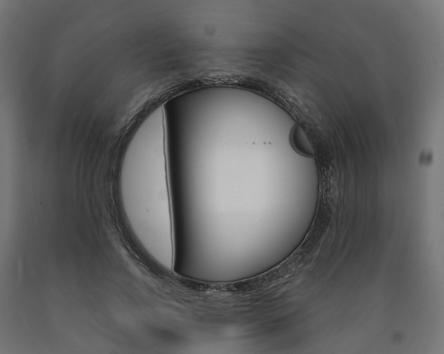 X0000091000742200708021224
