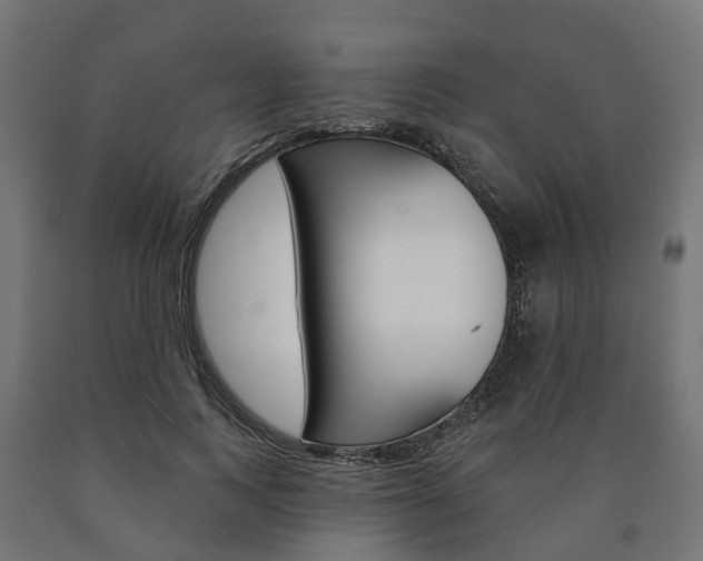 X0000091000743200708021224