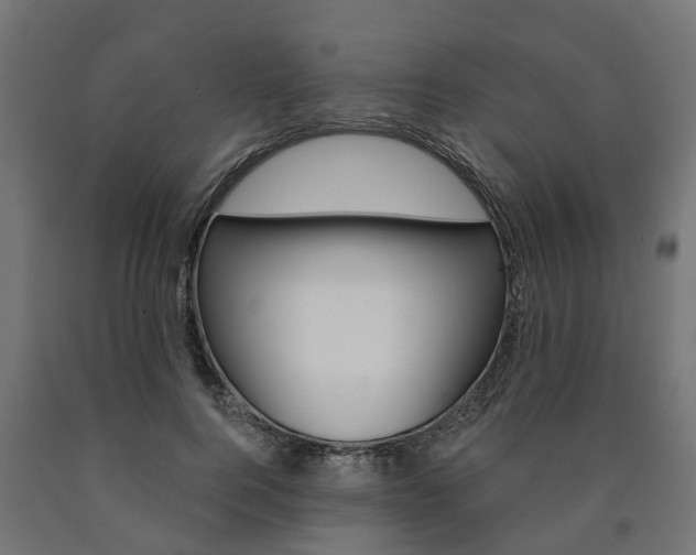 X0000091000744200708021224
