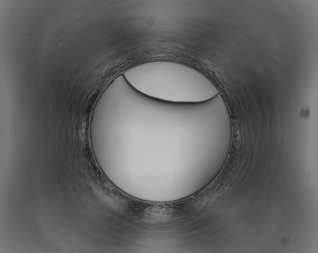 X0000091000745200708021224