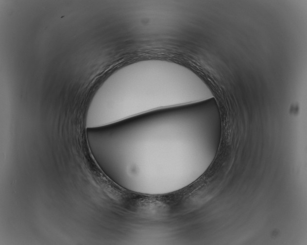 X0000091000747200708021224