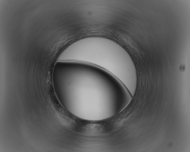 X0000091000748200708021224