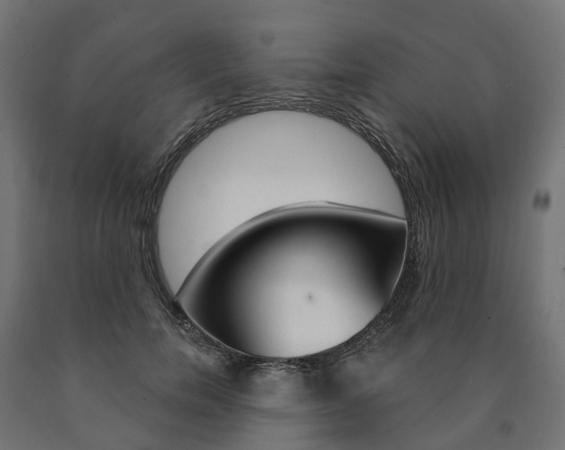 X0000091000750200708021224
