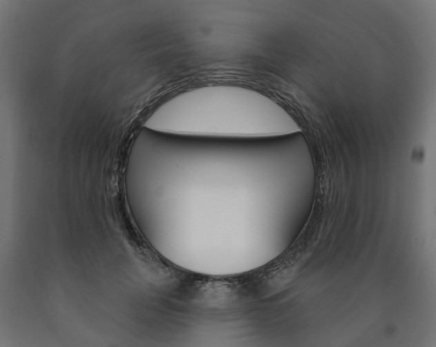X0000091000751200708021224