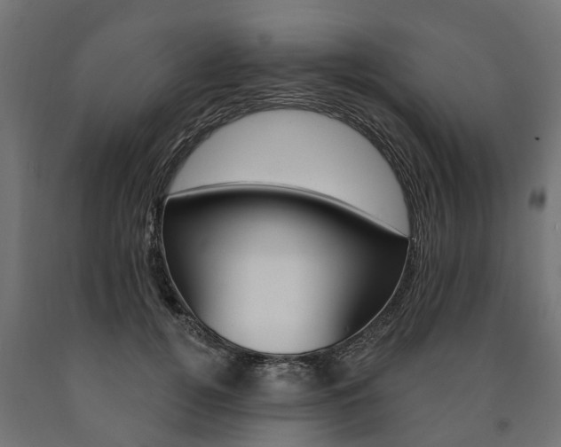 X0000091000752200708021224