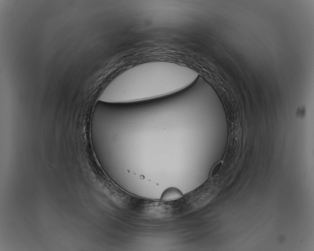 X0000091000754200708021224