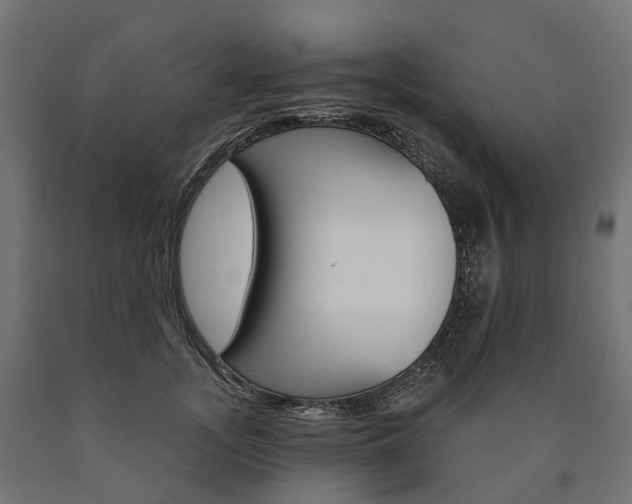 X0000091000755200708021224