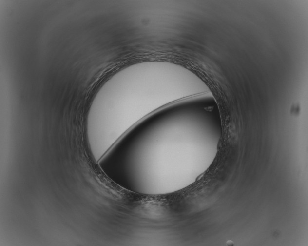 X0000091000756200708021224