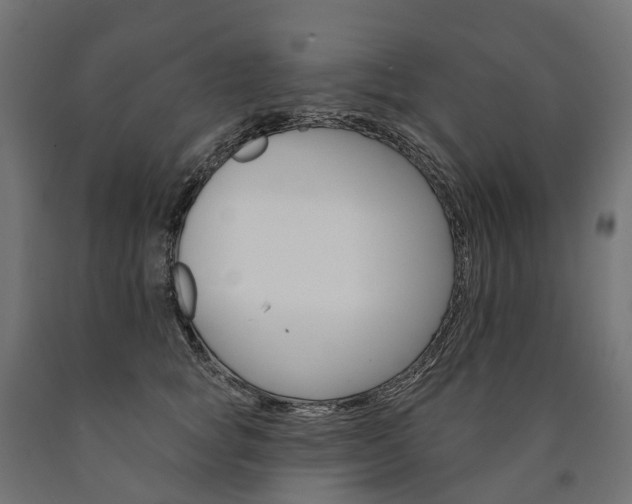 X0000091000757200708021224