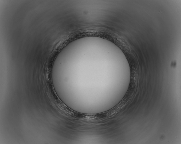X0000091000758200708021224