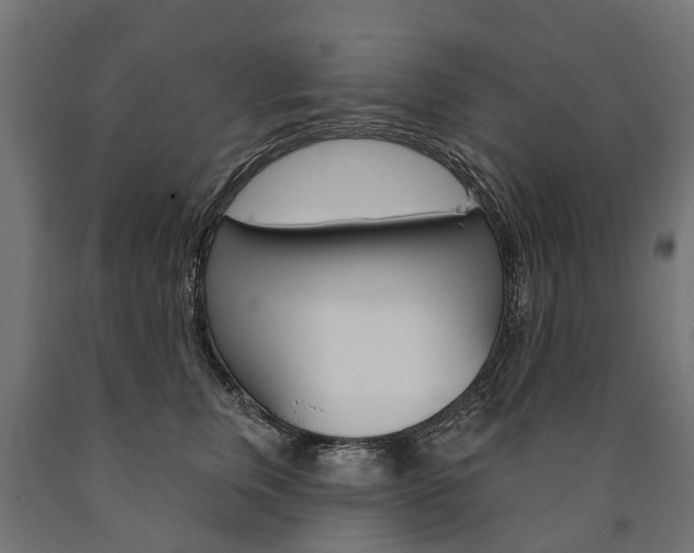 X0000091000759200708021224