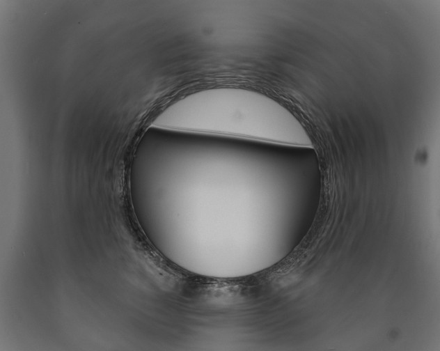 X0000091000760200708021224
