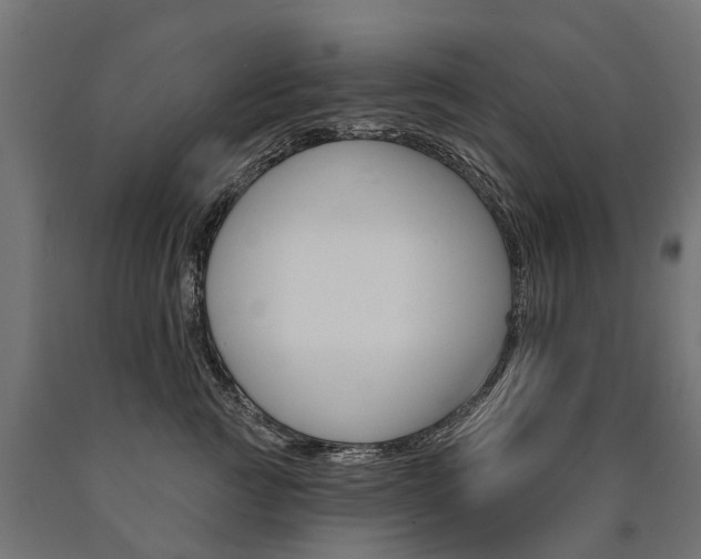 X0000091000761200708021224