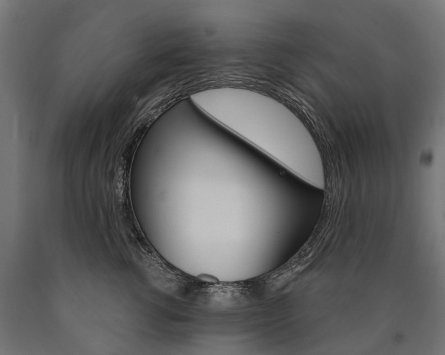 X0000091000762200708021224