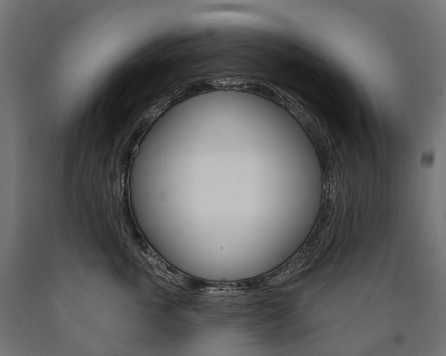 X0000091000763200708021224