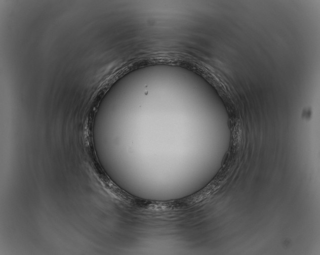 X0000091000764200708021224