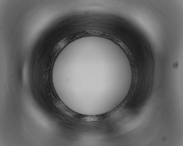 X0000091000765200708021225